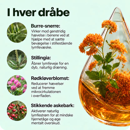 Lynora Lymfedrænende Dråber™