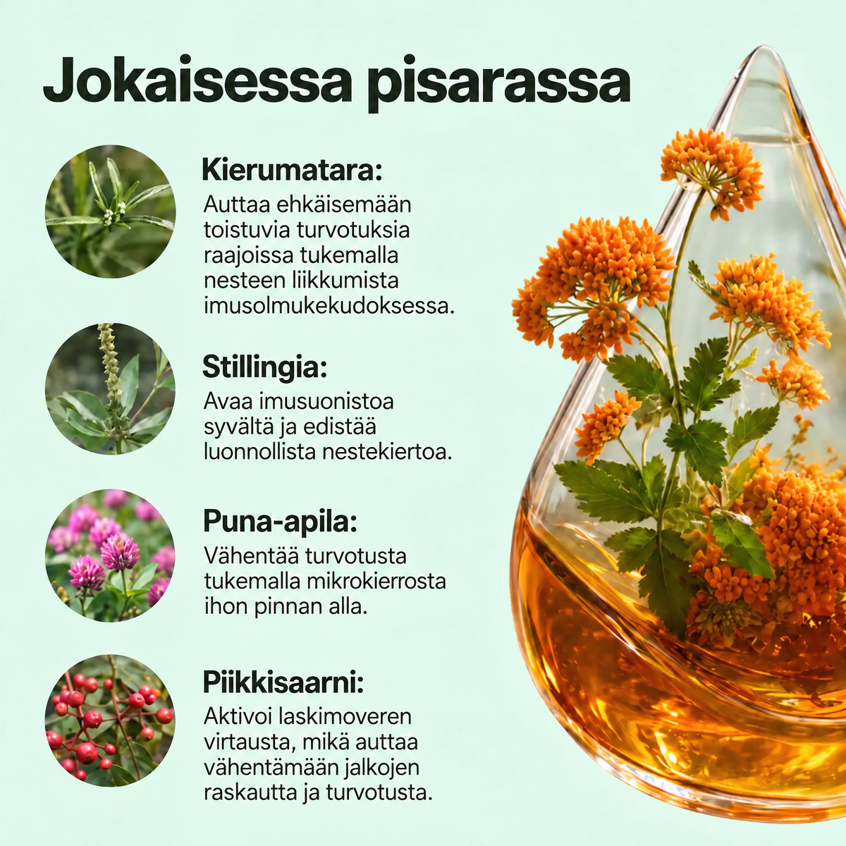 Lynora Lymfaa Tyhjentävät Tipat™